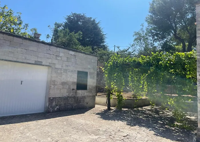 Villa Trimigliozzi Selva Di Fasano
